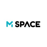Mspace • მსფეისი logo - Similar company to Renomate.In