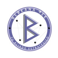 Berkana-Tek logo - Similar company to Tech Lider Mx