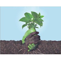 SHRARA Inc logo - Similar company to Groplus Inc