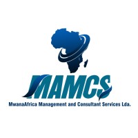 MWANAAFRICA MANAGEMENT AND CONSULTANT SERVICES LDA logo - Similar company to Mariss Comercio E Serviços Lda