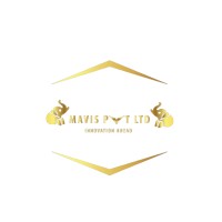 Mavis Private Limited logo - Similar company to Mavis