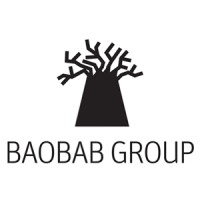 Baobab Group SE logo - Similar company to Next Sa (Global Solutions)