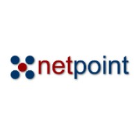 NETPOINT SERVICES Ltd. logo - Similar company to Stone Computers Ad