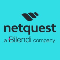 Netquest logo - Similar company to Target Insights