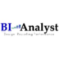 BIAnalyst GmbH & Co.KG logo - Similar company to Bi Analyst