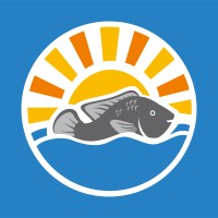 Yalelo Zambia logo - Similar company to Firstwave Group