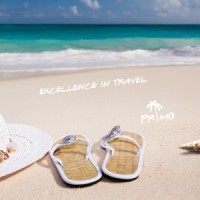 Primo Travel Ltd logo - Similar company to Promo Group