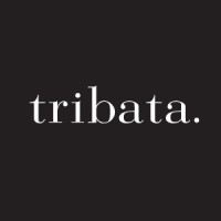 Tribata Group logo - Similar company to Glazed Beauty
