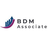 BDM Associates logo - Similar company to Intended Systems