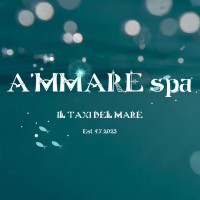 A'MMARE S.P.A. logo - Similar company to Accelera Hub