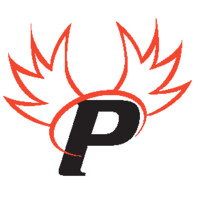 Paragon Cyber Solutions (8a, EDWOSB, SDVOSB, CMMC-C3PAO) | GSA MAS (IT & HACS) | Seaport NxGen | logo - Similar company to Advanced Technology Leaders, Inc.