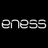 ENESS logo - Similar company to Soffi Lighting