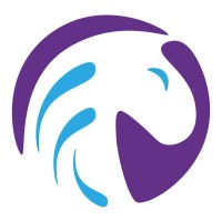 Repronetix logo - Similar company to Impershield Europe B.V.