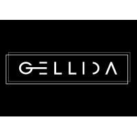 GELLIDA E HIJOS SL logo - Similar company to Airroxy Sp. Z O.O.