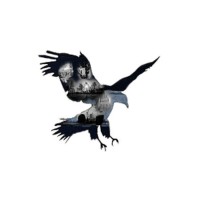 Eagle Shelter & Eagle Flight Recovery College logo - Similar company to Werkplaats Samen