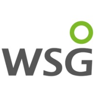WSG logo - Similar company to Donjoy Technology Co.,Ltd