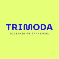 Trimoda Digital logo - Similar company to Onecloud It Solutions
