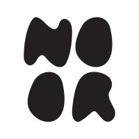 Noor logo - Similar company to Ariverse