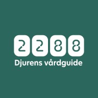 2288 Djurens Vårdguide AB logo - Similar company to Svenska Blå Stjärnan