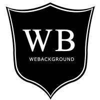 Webackground Limited logo - Similar company to Secukey Technology Co., Ltd