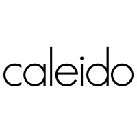 Caleido S.r.l. logo - Similar company to We Are Ib