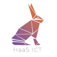 HaaS ICT logo - Similar company to Rayflexcom