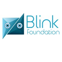 Blink Foundation logo - Similar company to Dlearners.Com
