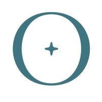 Shine Bright Online logo - Similar company to Joyco Digital
