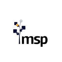 MSP International Services Corporation logo - Similar company to Emmsphere Plus