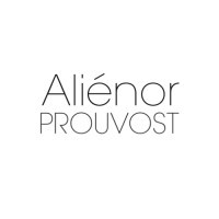Galerie Aliénor Prouvost logo - Similar company to Edji Gallery