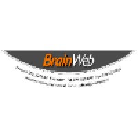 Owner at Brainweb logo - Similar company to Recruiting Engineers