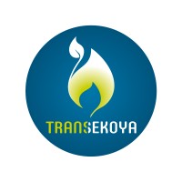 TRANSEKOYA logo - Similar company to Transaldis