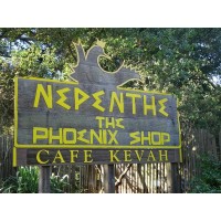 Nepenthe/Phoenix Corporation