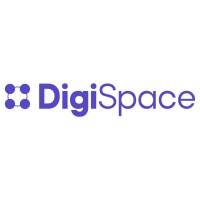 DigiSpace logo - Similar company to Avm Solutions