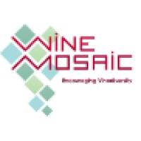Wine Mosaic