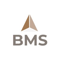 BMS Laboratório Cerâmico, Geologia e Mineração logo - Similar company to Associação Beneficente Abadeus