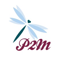 P2M Sarl logo - Similar company to Proconsec