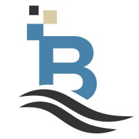 BloomWave Digital logo - Similar company to Bluespark Data