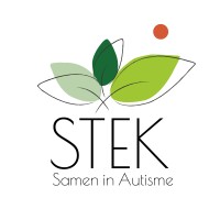 STEK logo