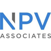 NPV Associates logo - Similar company to Npv & Associates Llp