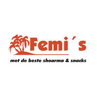 Femis Rijssen logo - Similar company to Femi'S Groep