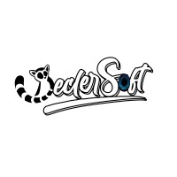 DeclerSoft logo - Similar company to Trustylab