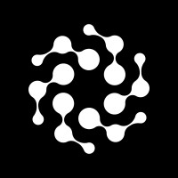 NeuraNed logo - Similar company to Dc Analytics