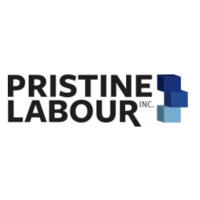 Pristine Labour logo - Similar company to Bg Tech