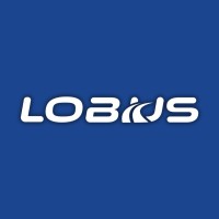 Lobus logo - Similar company to Lobus Software