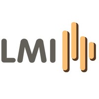 LMI Gestión Financiera logo - Similar company to Go Gestión