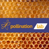 Pollination Lab logo - Similar company to Bloom Executive Coaching