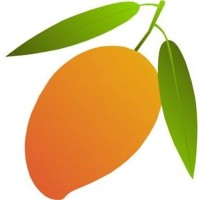 MANGO Math Group logo - Similar company to Graspable Math