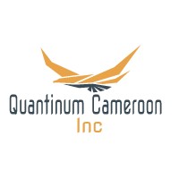 Quantinum Cameroon Inc logo - Similar company to Trading Timber