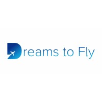 Dreams To Fly logo - Similar company to Neni Tech